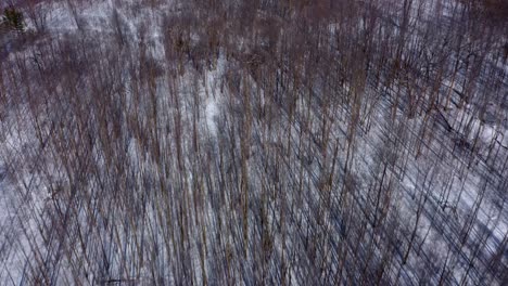 Drone-looking-down-over-the-woods-in-a-winter-forest-and-moving-up-revealing-a-frozen-river