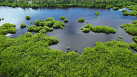 Lago-En-Una-Isla-Caribeña-Escondida-Con-árboles-Rodeados-De-Agua,-Impresionante-Horizonte-Revelador