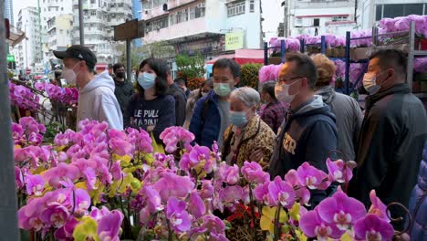 Chinese-shoppers-buy-decorative-Chinese-New-Year-theme-flowers-and-plants,-such-as-orchids,-at-a-flower-market-street-stall-ahead-of-the-Lunar-Chinese-New-Year-festivities