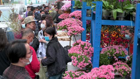 Los-Clientes-Compran-Flores-Y-Plantas-Decorativas-Del-Año-Nuevo-Chino-En-Un-Puesto-Callejero-Del-Mercado-De-Flores-Antes-De-Las-Festividades-Del-Año-Nuevo-Chino-Lunar