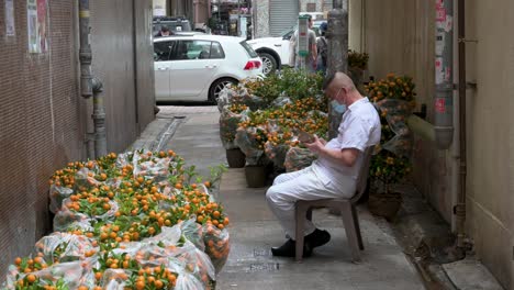 Ein-Mann-Benutzt-Sein-Telefon-In-Einer-Blumenmarktgasse-Als-Kumquat-bäume,-Auch-Bekannt-Als-Mandarinenbäume,-Der-Bestand-Wird-Während-Der-Vorbereitung-Auf-Das-Bevorstehende-Chinesische-Neujahrsfest-Vor-Der-öffentlichkeit-Verborgen