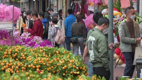 Chinese-customers-buy-typical-decorative-Chinese-New-Year-themed-flowers-and-kumquat-trees,-also-known-as-tangerine-trees-at-a-flower-market-ahead-of-the-Lunar-Chinese-New-Year-festivities