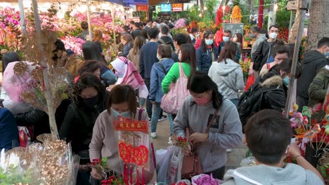 Los-Compradores-Compran-Flores-Y-Plantas-Decorativas-Del-Tema-Del-Año-Nuevo-Chino-En-Un-Puesto-Callejero-Del-Mercado-De-Flores-Antes-De-Las-Festividades-Del-Año-Nuevo-Chino-Lunar