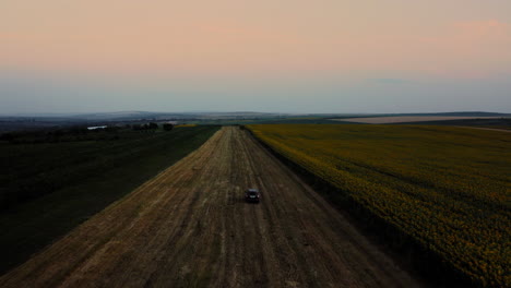 Drohnen-Tracking-Aufnahme-Von-Auto-Offroad-Fahren-Und-Drfting-In-Der-Nähe-Von-Sonnenblumenfeldern-Am-Abend