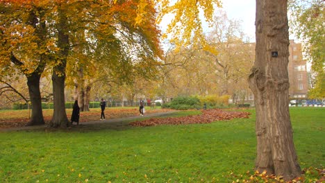 Camino-Del-Bosque-De-Otoño