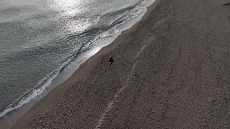 Aerial-birdseye-of-woman-and-dog-walking-alone-on-beach-at-sunrise