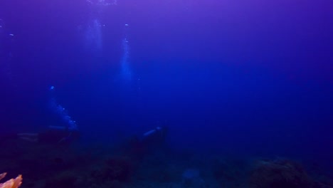 Vista-Submarina-Estática-De-Dos-Buzos-Buceando-Como-Pareja-En-Aguas-Tropicales