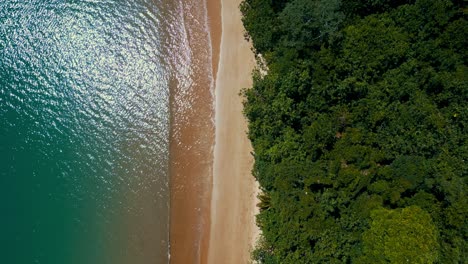 Tropical-beach-from-above-at-Whitsunday-and-Cape-Tribulation