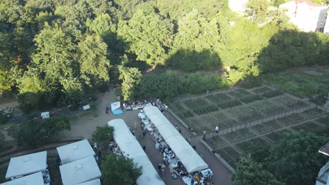 Leute,-Die-Im-Wald-Picknicken