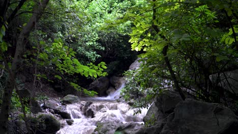 Clear-stream-running-through-stone-boulders-Abundant-river-flowing-on-stone-bottom-in-slow-motion