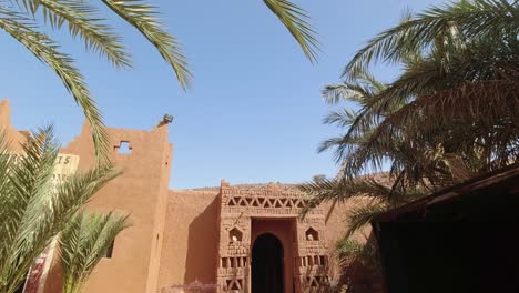 Tilt-down-View-of-the-El-Mharech-Camp-in-the-Mharrech-gorge,-Moroccan-Sahara-desert