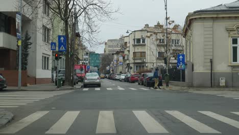 Side-View-Of-Man-Walking-His-Dog-At-Daytime