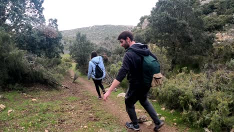 Wanderer,-Die-In-Gruppen-In-Bergwäldern-Und-Auf-Pfaden-Wandern