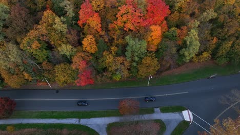Top-down-aerial-view-of-cars-driving-on-paved-road-in-beautiful-national-park-during-autumn-season-change