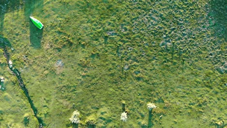 Top-Down-View-Of-Scenic-Green-Field-In-The-Countryside---drone-shot