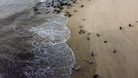 Schaumige-Wellen,-Die-Am-Ufer-Eines-Strandes-In-Lissabon,-Portugal,-Zusammenbrechen---Hochwinkelaufnahme