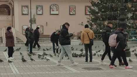 Gente-Y-Palomas-En-La-Plaza-Del-Consejo-En-Brasov,-Rumania-Durante-La-época-Navideña