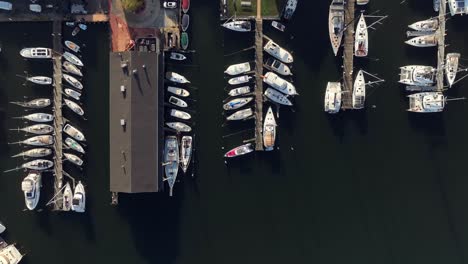 Top-down-aerial-of-boats-and-yachts-in-harbor-dock-at-pier