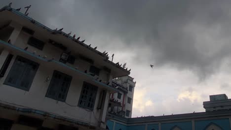 Stormy-clouds-form-over-buildings-in-urban-Sylhet,-Pigeon-birds-flying-and-sitting-at-roof