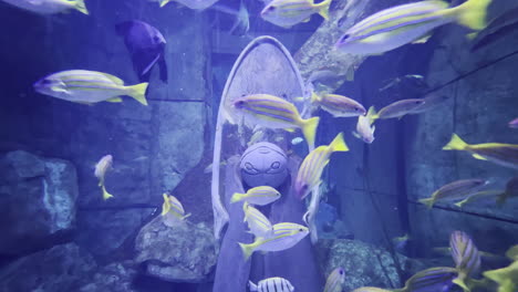 Peces-Exóticos-En-El-Acuario-De-Cámaras-Perdidas-De-Dubai-Nadando-Entre-Artefactos-Antiguos