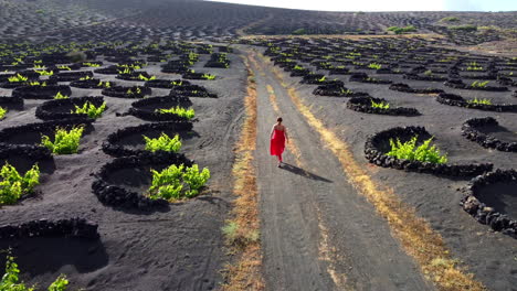 Rot-Gekleidete-Frau,-Die-Durch-Eine-Straße-In-Einer-Weinplantage-Auf-Lanzarote-Geht,-Mit-Vielen-Kreisförmigen-Vulkanischen-Steinschutzmaßnahmen-Auf-Dem-Boden