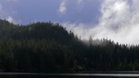 Foggy-Clouds-On-Sunrise-Over-Dense-Conifer-Forest