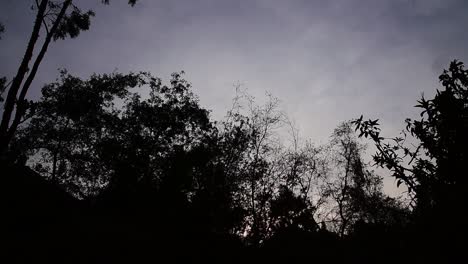 Cielo-Dramático-Oscuro-Detrás-De-La-Silueta-De-Los-árboles-Al-Atardecer
