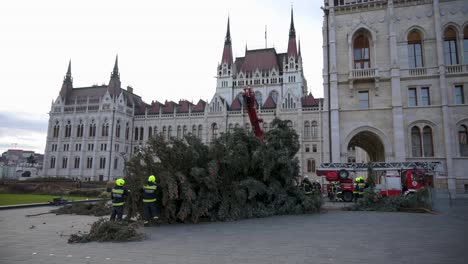 Feuerwehrleute-Sägen-Den-Weihnachtsbaum-Nach-Der-Entfernung-Von-Weihnachtsdekorationen-Auf-Dem-Kossuth-Platz-Vor-Dem-Ungarischen-Parlament-Während-Der-Epiphanie-In-Stücke---Budapest,-Januar-2023