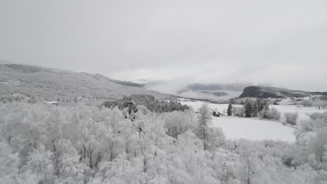 Niedrige-Antenne-über-Bewaldetem-Gebiet,-Das-Mit-Frischem-Weißem-Schnee-Bedeckt-Ist---Abgelegenes-Skandinavien