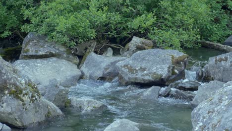 Süßwasserstrom-Auf-Moosigen-Felsen-In-Einem-Fluss