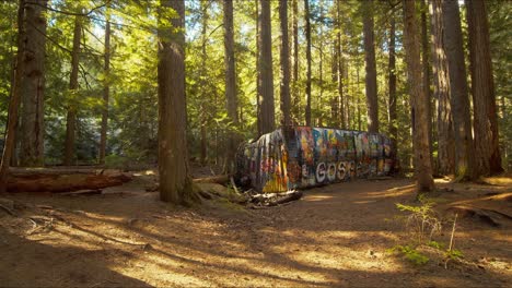 Zugwrack-Im-Wald-Verlassen-Und-Mit-Graffiti-Und-Malerei-Bedeckt