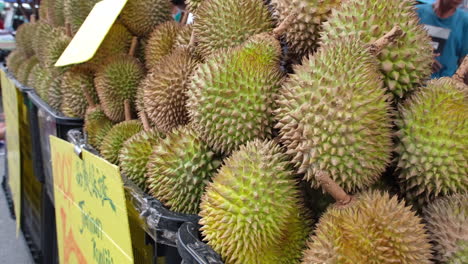 Primer-Plano-Extremo-De-Durian,-Fruta-Malasia