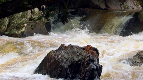 Der-Wasserstand-Im-Brasilianischen-Regenwald-Ist-Aufgrund-Der-Durch-Die-Globale-Erwärmung-Verursachten-Dürre-Niedrig