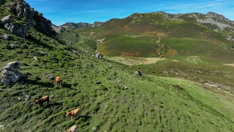 Aerial-views-with-drone,-Cubillas-de-Arbas