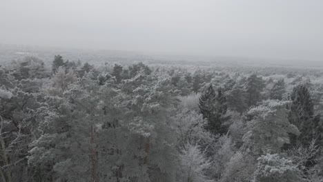 Winter-in-Poland,-Szczecin