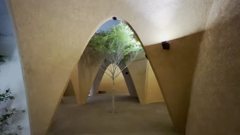 Un-árbol-Verde-Dentro-De-Un-Edificio-Que-Se-Mueve-Con-El-Viento-Ligero