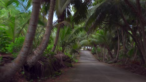 Mahe-Seychelles-small-coastal-road-drive-towards-the-far-south-of-the-island,-road-is-very-narrow-and-reached-a-beautiful-but-rough-beach