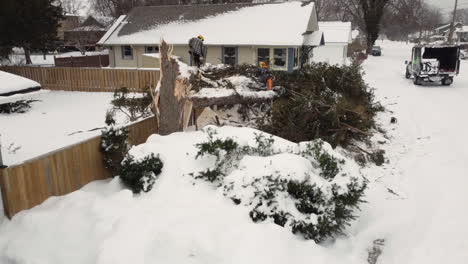 Dos-Rescatistas-Están-Limpiando-Un-árbol-Caído-Cubierto-De-Nieve-En-El-Patio-Trasero-Durante-La-Tormenta-De-Invierno-Norteamericana-Elliot