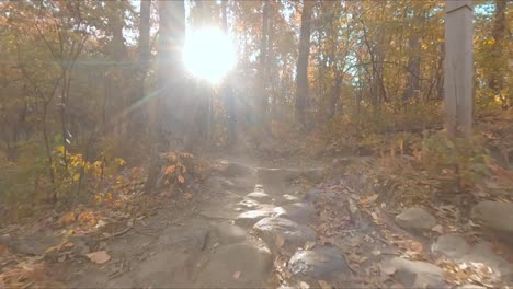 Gimbal-moving-through-autumn-forest-hiking-path,-sun-rays-shining-through