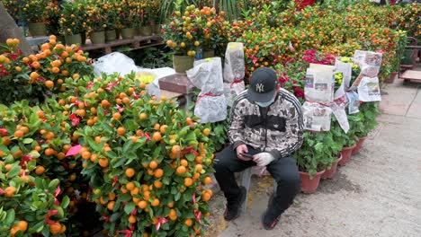 Ein-Mann-Benutzt-Ein-Smartphone-Neben-Kumquat-Bäumen,-Auch-Mandarinenbäume-Genannt,-Die-Auf-Einem-Blumenmarkt-Verkauft-Werden