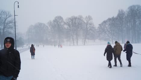 Gente-Caminando-Por-Terrenos-Cubiertos-De-Nieve-Cerca-Del-Palacio-Real-En-Oslo-Durante-El-Invierno