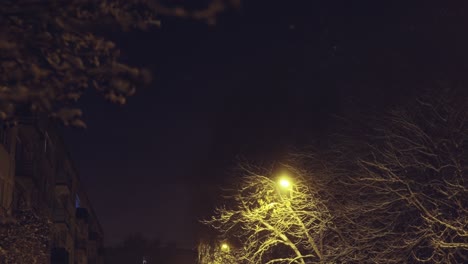 Low-angle-shot-of-park-in-winter-while-snowing-at-night