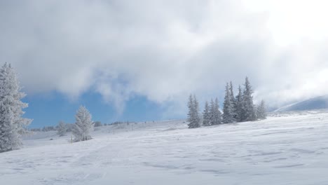 Wintertag-Im-Bulgarischen-Berg
