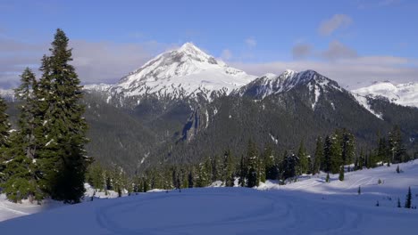 Vista-Perfecta-De-Los-Alpes-Desde-El-Bosque-Cubierto-De-Nieve