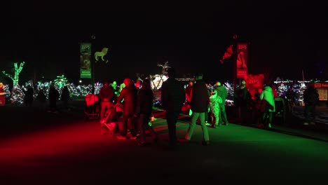 Grupos-De-Familias-Disfrutando-De-Una-Noche-En-Un-Festival-De-Navidad-Festivo-Brillante-Y-Decorativo-Del-Zoológico