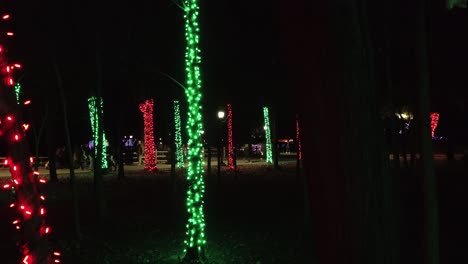 Groups-Of-People-Walking-Through-Forest-Trees-Decorated-With-Bright-Christmas-Lights-At-Night