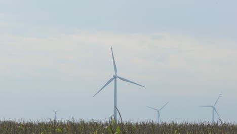 Wind-turbines-producing-renewable-energy-on-Indiana-countryside