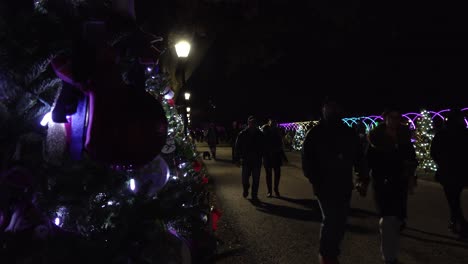Couples-Walking-And-Holding-Hands-Down-Sidewalk-At-Decorative-Christmas-Festival