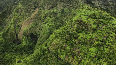 Aerial-View-of-Rolling-Hills-and-Green-Landscape-in-Kauai-Hawaii