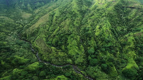 Vista-Aérea-De-Colinas-Y-Paisajes-Verdes-Con-Río-En-Kauai-Hawaii